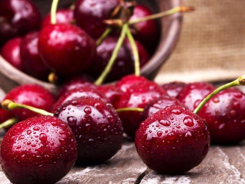 Вишня купить саженцы из питомника в Иваново