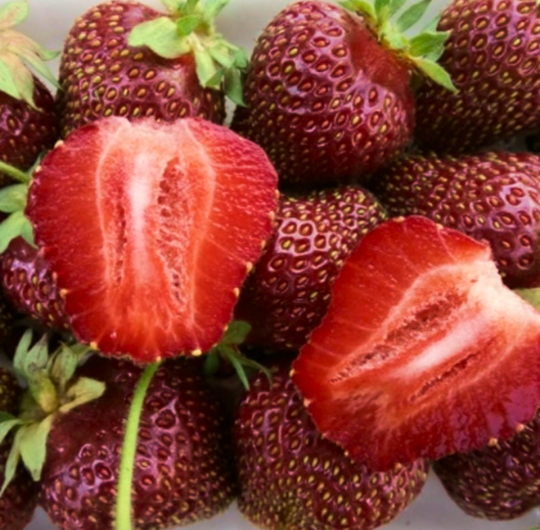 Клубника "РУБИНОВЫЙ КУЛОН" (7шт.)